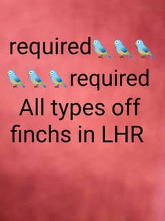 required required. All types off. finch LHR . 03211113562