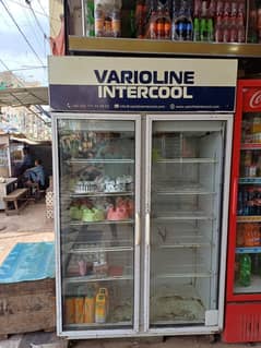 Intercool Chiller / Display Cake Fridge