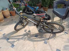 20 Inch Bicycle in Good Condition