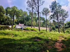 Residential Plot for sale on installments in Murree Green Valley 0