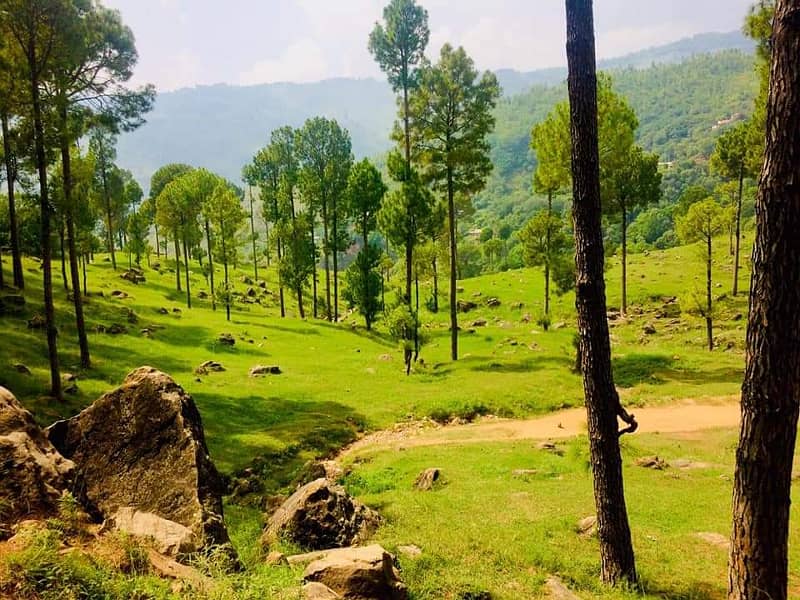 Residential Plot for sale on installments in Murree Green Valley 3