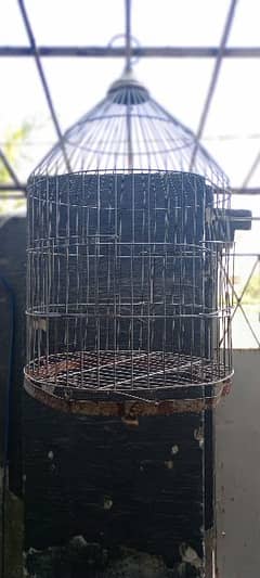 parrot cage