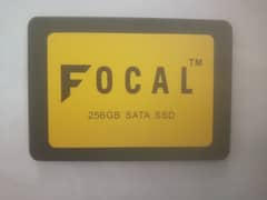 Focal SSD 256 GB 0