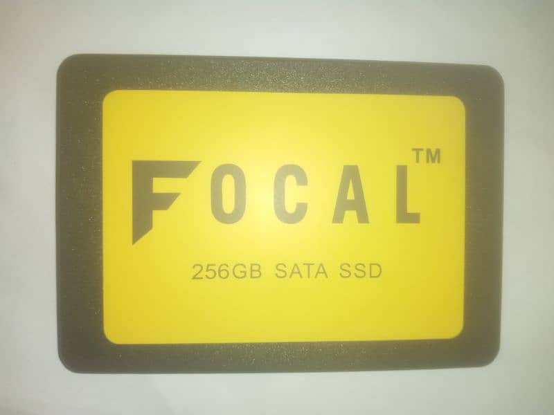 Focal SSD 256 GB 1