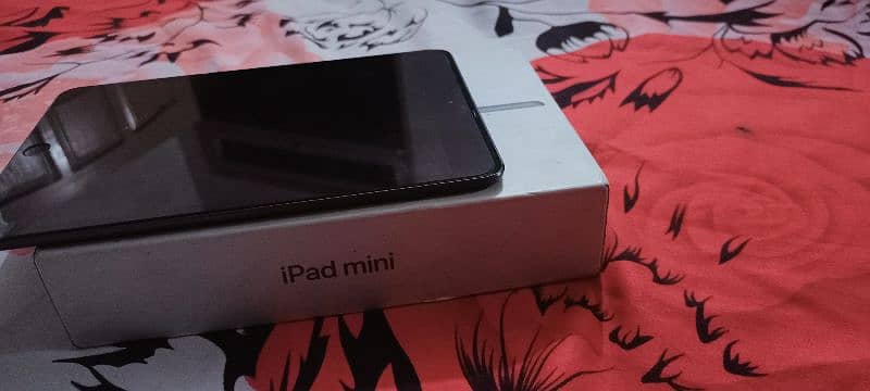 Apple Ipad mini 5 1