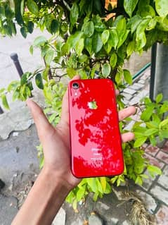 IPHONE XR FACTORY UNLOCKED 256GB RED PRODUCT (EXCHANGE POSSIBLE) 0