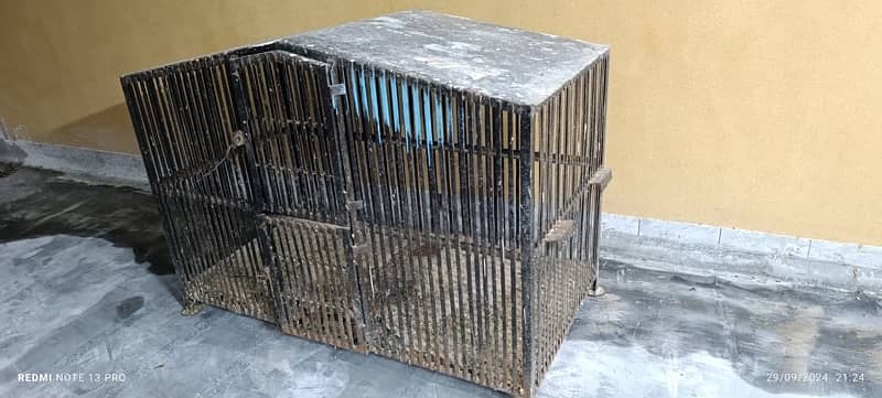 bird,hen Cage for Sale 2