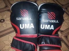 boxing gloves & legs pad