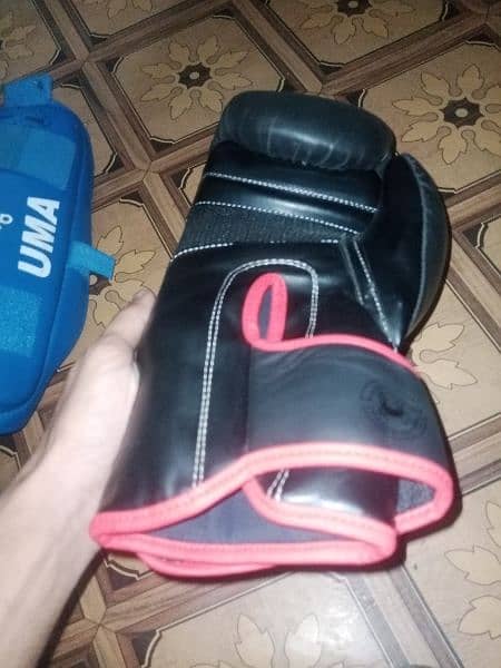 boxing gloves & legs pad 1