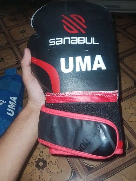 boxing gloves & legs pad 2