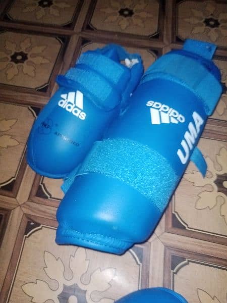 boxing gloves & legs pad 3