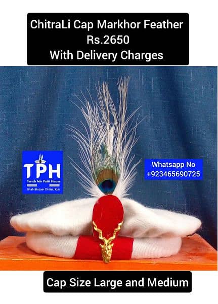 ChitraLi Cap Markhor Feather 1