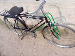 Sohrab 22 inch Cycle