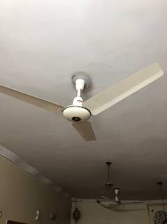 used fan for sale