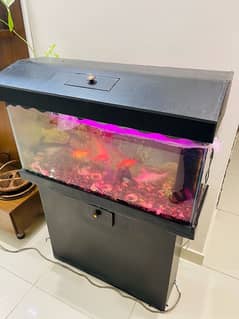 aquarium for sale