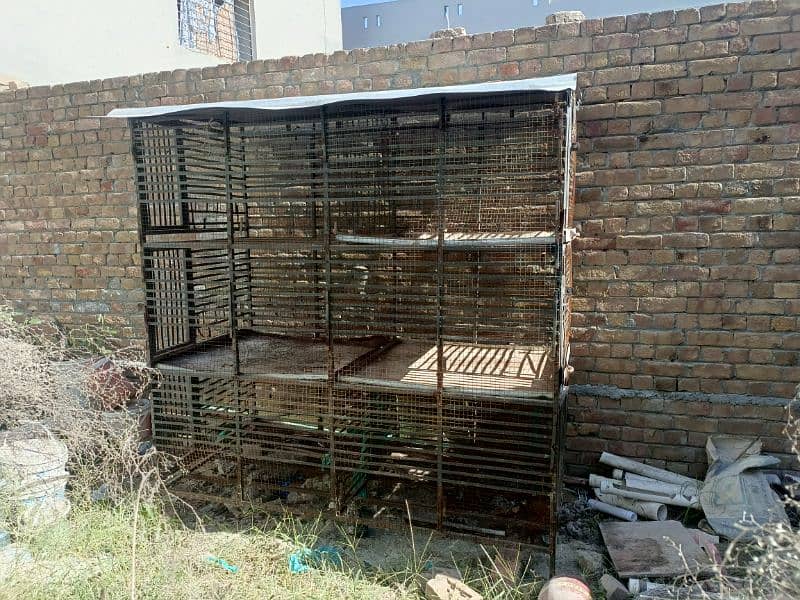 Murgio k pinjra, Cage for hens 1