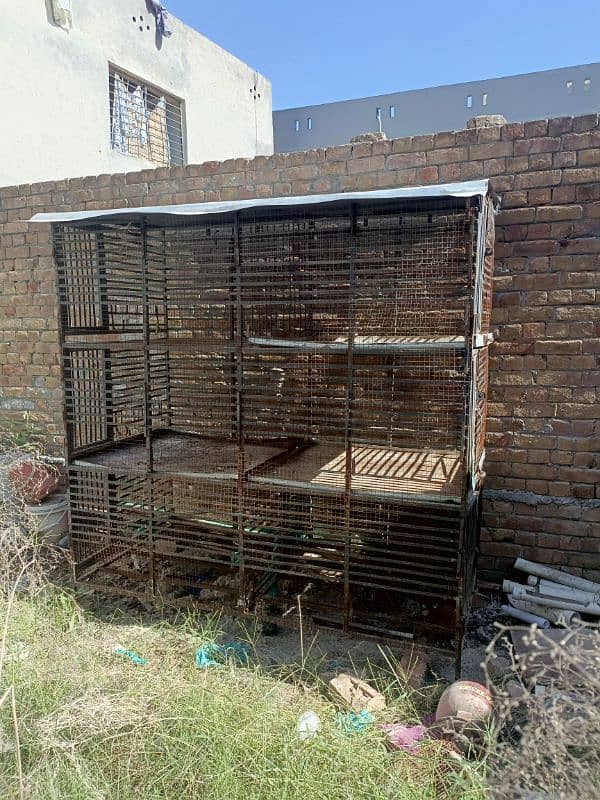 Murgio k pinjra, Cage for hens 2