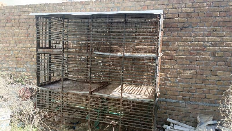 Murgio k pinjra, Cage for hens 3