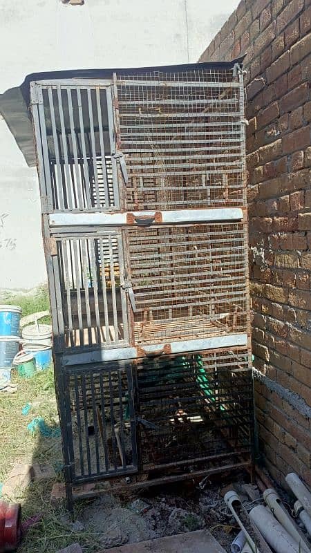 Murgio k pinjra, Cage for hens 4