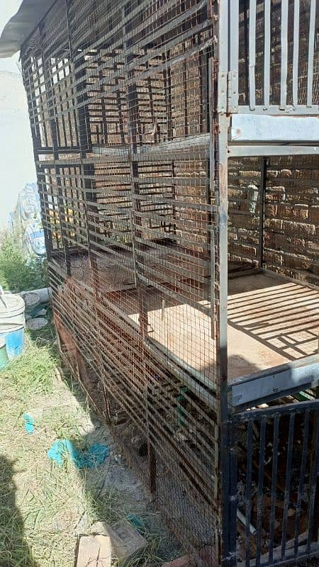 Murgio k pinjra, Cage for hens 7