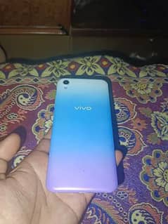 VIVO