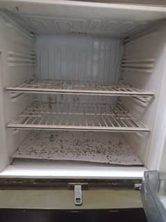 PEL FREEZER for SALE