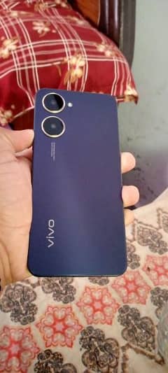 vivo