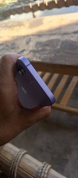 Iphone 12  Purple Colour 2