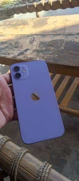 Iphone 12  Purple Colour 3