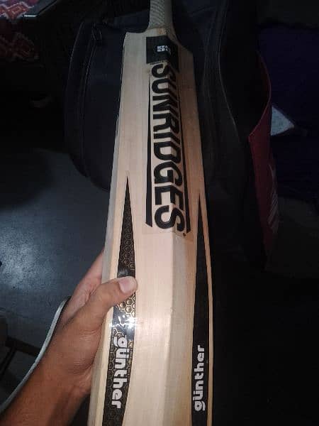 SS sunridges hardball bat 1