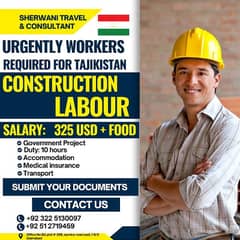 construction labour visa