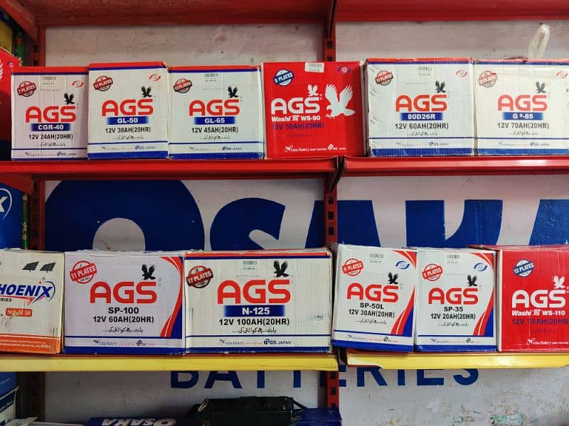 AGS ALL NEW BATTERIES 1