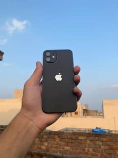 iphone 12 ( jv+64gb+all ok)