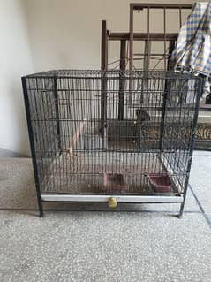 Strong Iron Cage For Love Birds