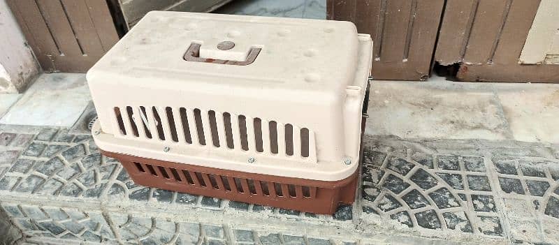 cat cages 1