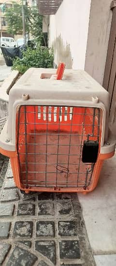 cat cages