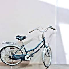 Cobalt Periwinkle Bicycle