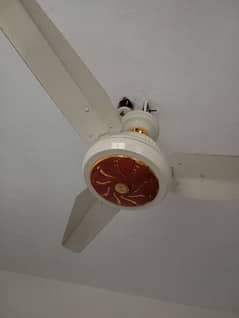 Celling Fan