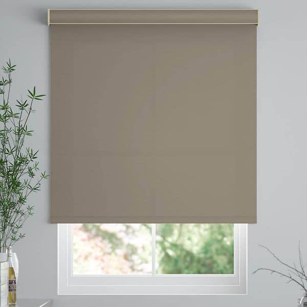 Window Roller Blinds 11