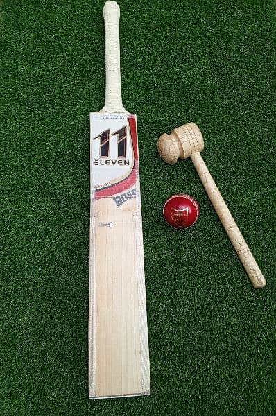 Hardball cricket bat 0