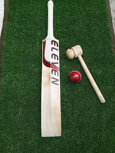 Hardball cricket bat 1