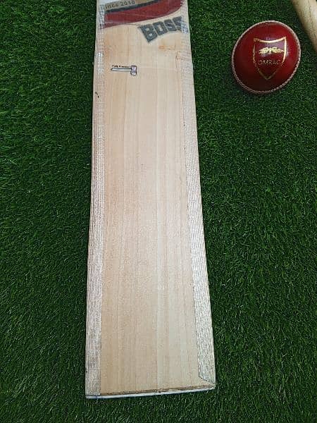 Hardball cricket bat 2