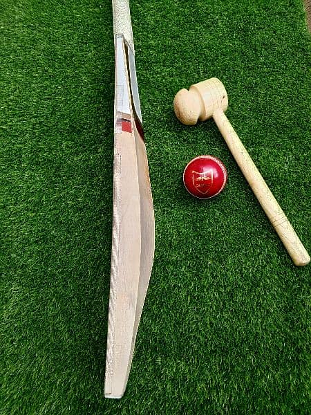 Hardball cricket bat 3