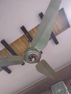 Ceiling Fans for Sale