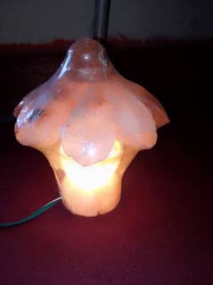 Natural salt lamp