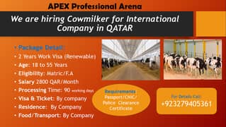 Cow Milker Required for Qatar