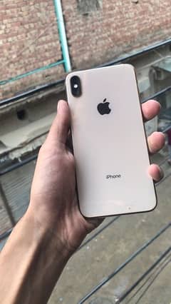 iphone x s max