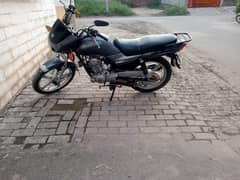 Suzuki 110 gd