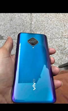 vivo