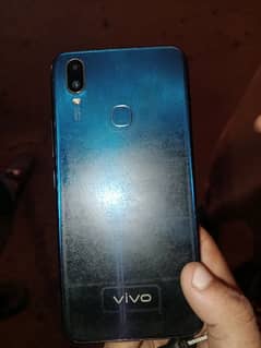 vivo